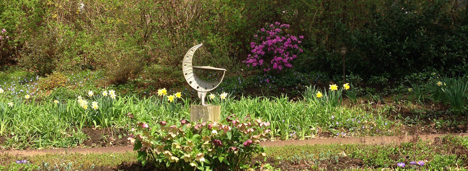 graceful-designs-header